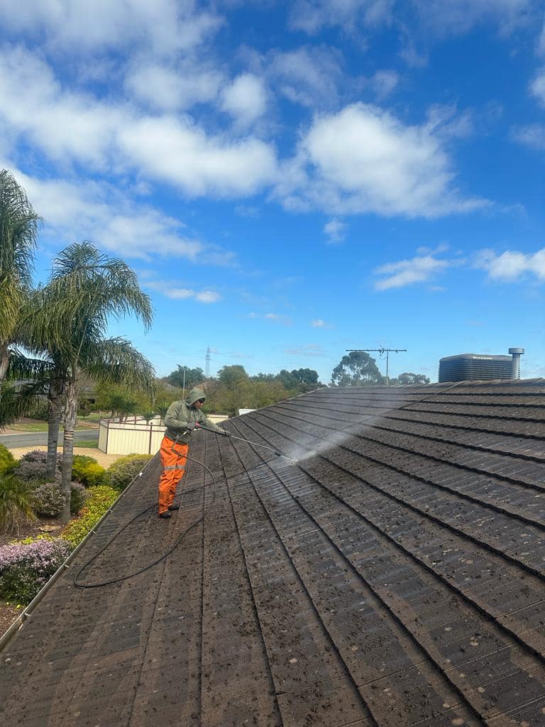Roof Restoration